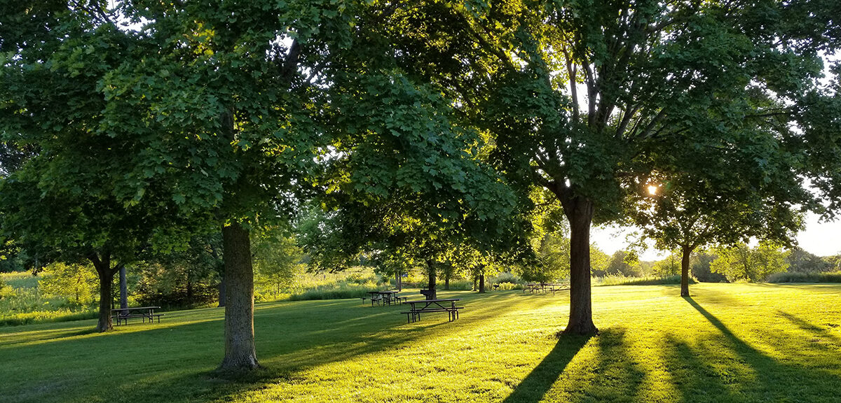 Nashotah Park Picnic Area Summer